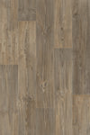 Dark Oak