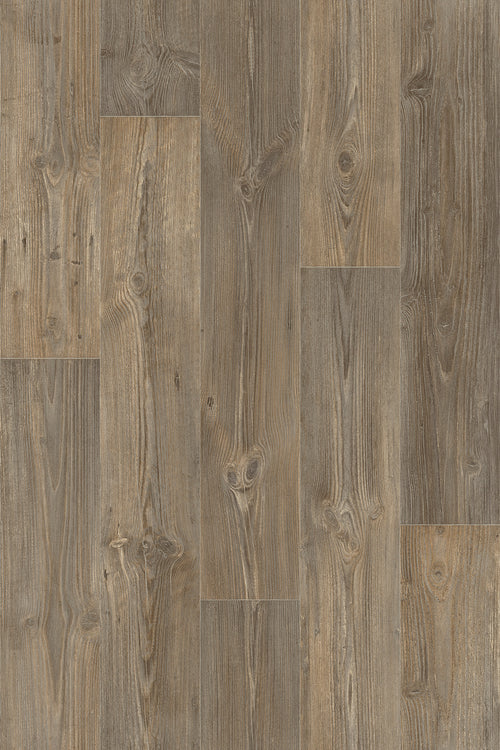 Dark Oak
