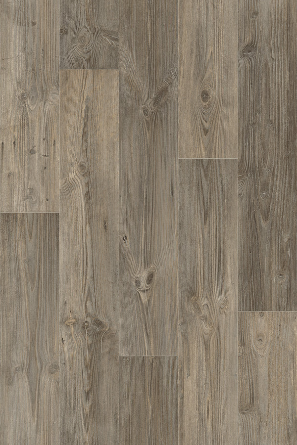 Grey Oak