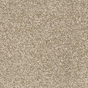 Sand Swatch