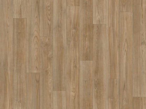 Medium Oak