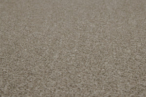 Warm Beige