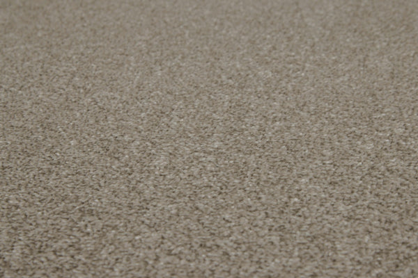 Warm Beige