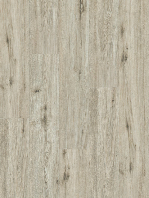 Pale Oak