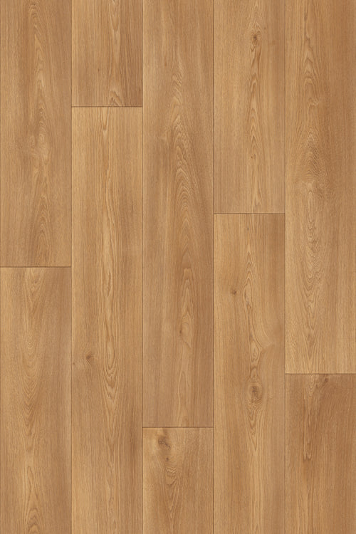 Medium Oak