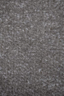 Silver Swatch