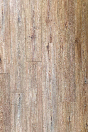 Ginger Oak