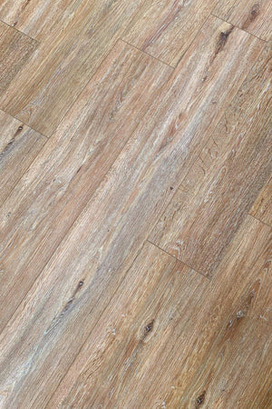 Ginger Oak