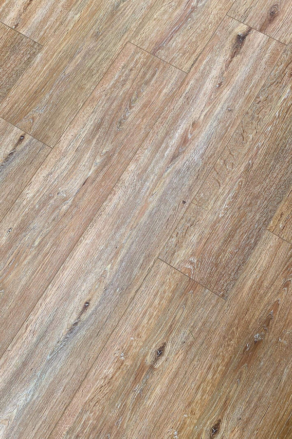 Ginger Oak