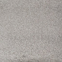 Platinum Swatch